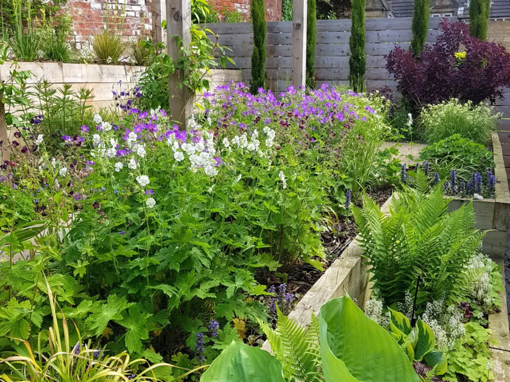 Moderne hage med en rustikk vri