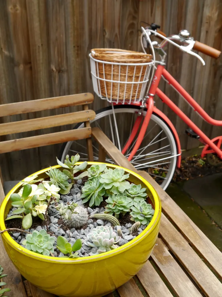 Melbourne photo shoot #1