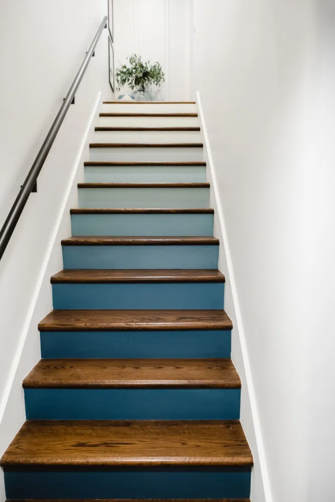 CAMBIO DE IMAGEN DE MONTANA