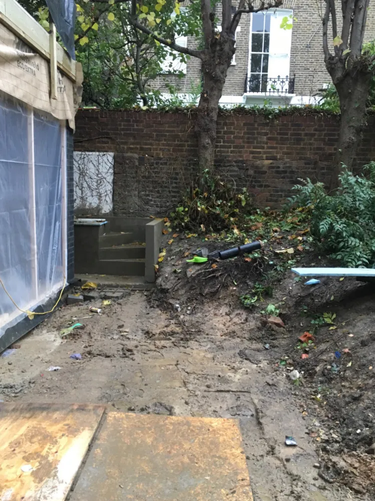 Сад Джоанны Бернштейн