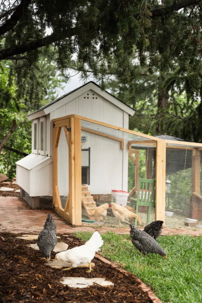 Modern Nostalgia Remodel