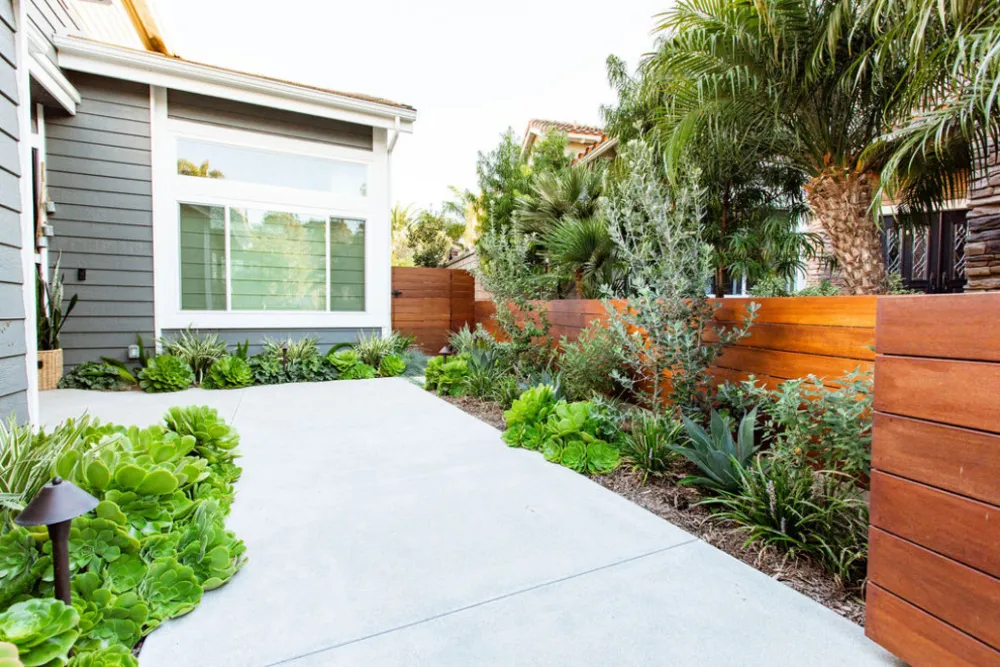 Dana Noktası Çağdaş