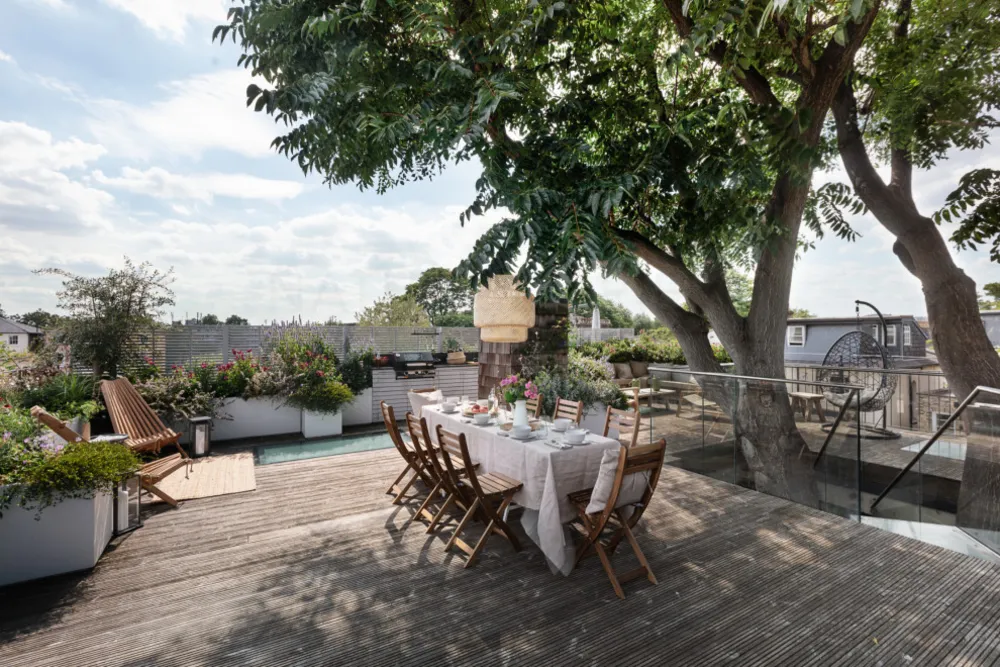 Olgun bir Ailanthus altissima, aksi takdirde Cennet Ağacı olarak bilinir.