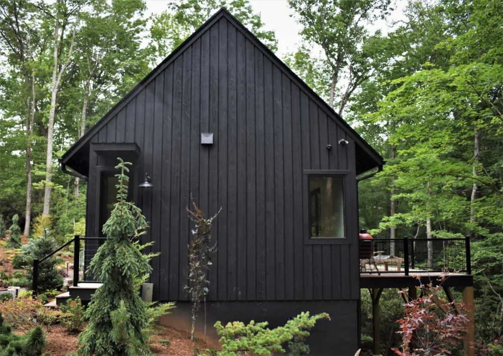 vida de la caja negra