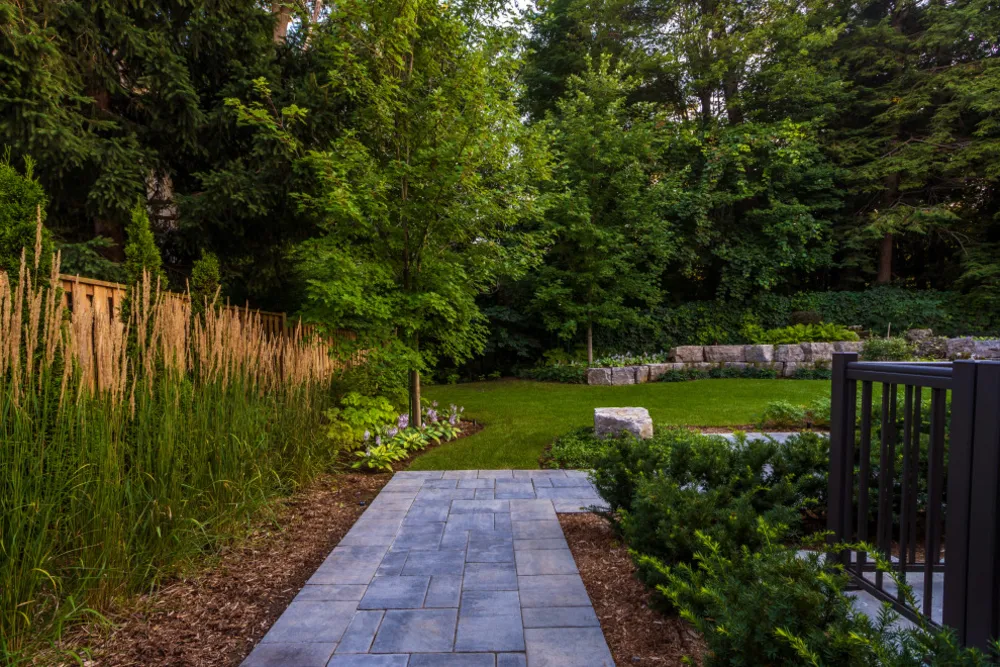 Paesaggio boscoso (Mississauga, ON)