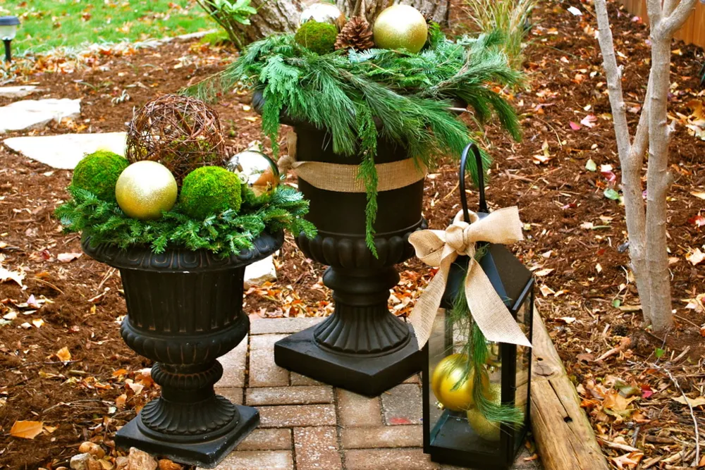 Zimní kontejnerové zahrady