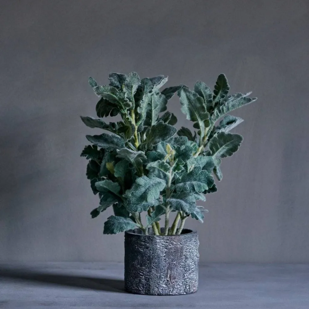 Decorin + Designin suunnittelutrendit, jotka sinun on tiedettävä