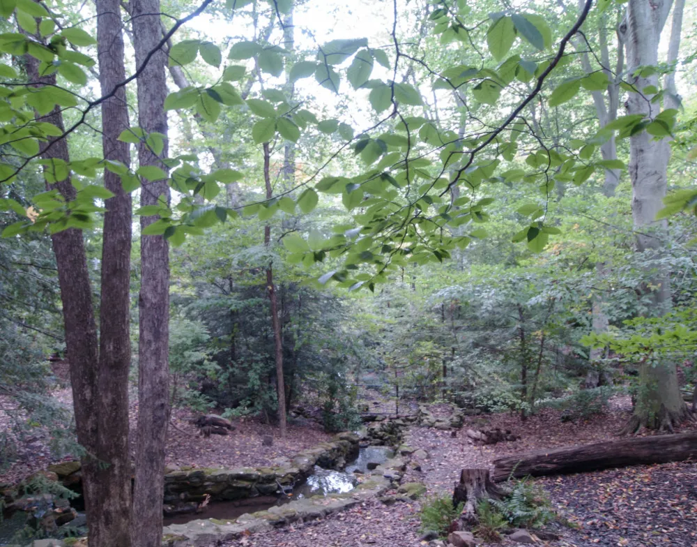 Vandre ind i et særligt skur inspireret af Wedgewood
