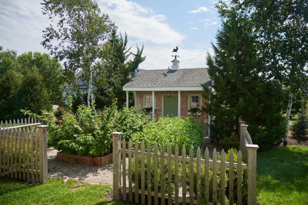 Trädgård och skjul