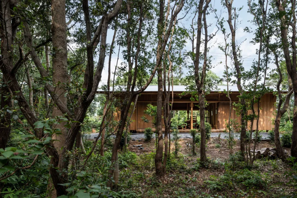 いかだ丸太の家／森の中に建つ住まい