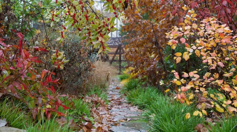 Narberth, PA – Obnova krajiny a hardscaping