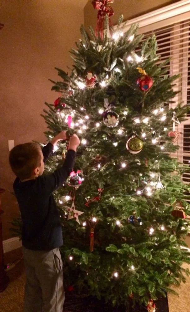 Sledování vánočního stromu čtenářů