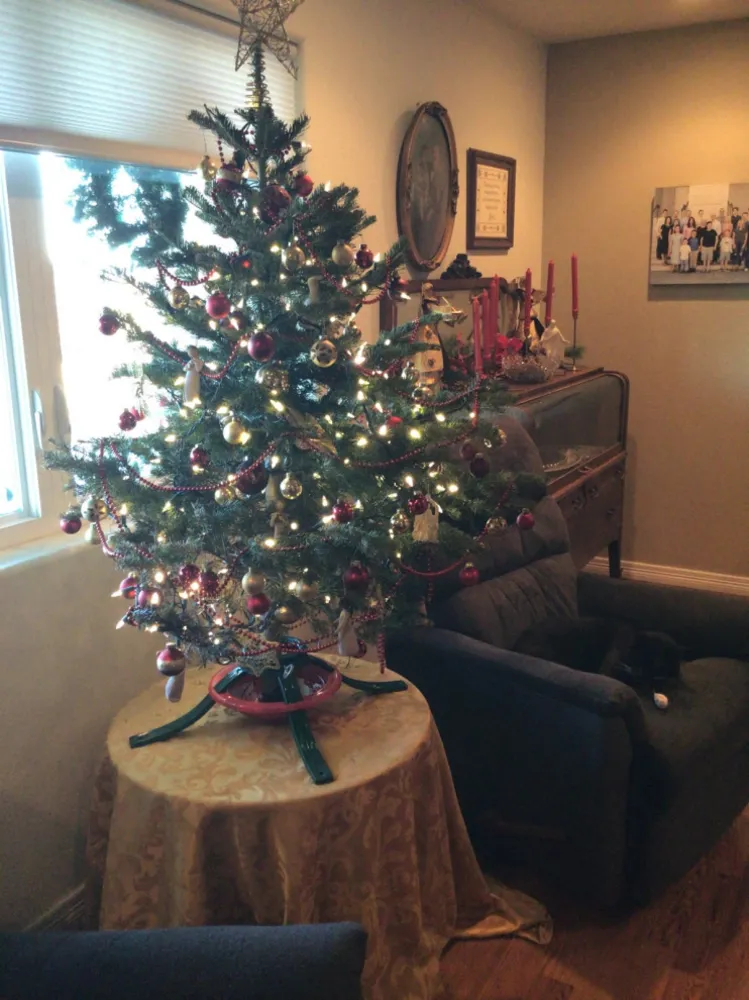 Sledování vánočního stromu čtenářů