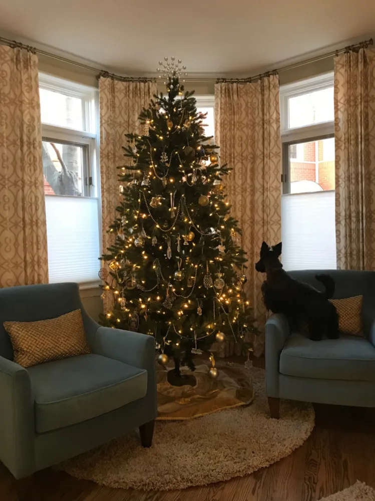 Sledování vánočního stromu čtenářů