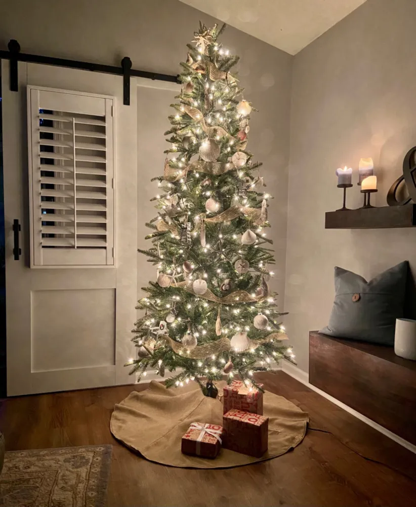 Kontrola čtenářského vánočního stromu