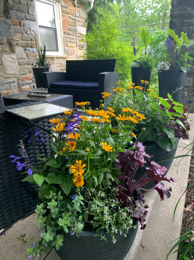 Летние контейнеры