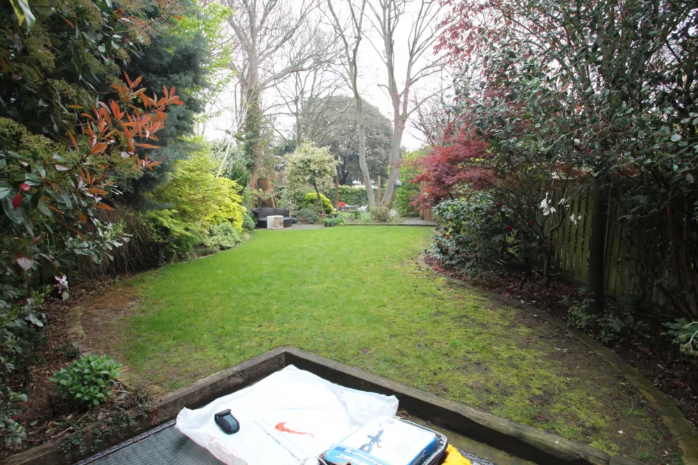 Garden Tour: Two Gardens Become One Seamless, Leafy Space