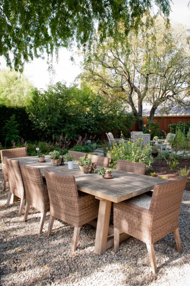 Canopy-Shaded Dining and Display Space
