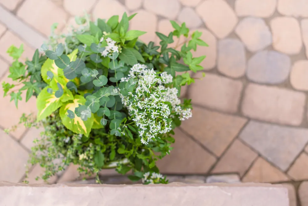 Dış Mekanda Zarif Bir Bahar Akşamı