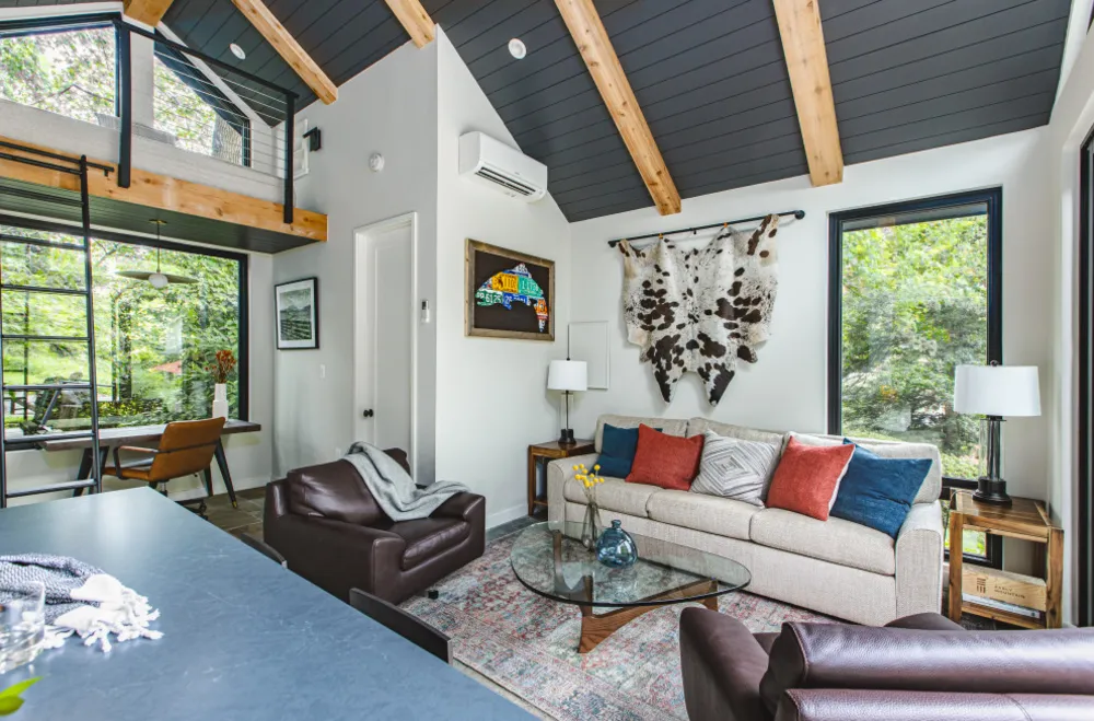 Arlington, VA Moderni ADU