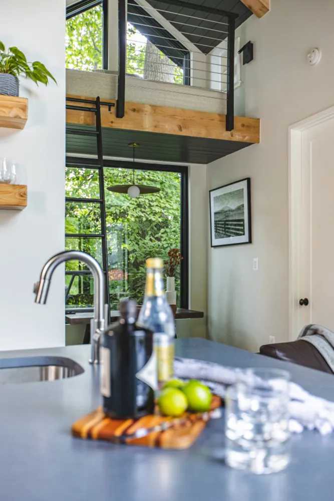 Arlington, VA Modern ADU