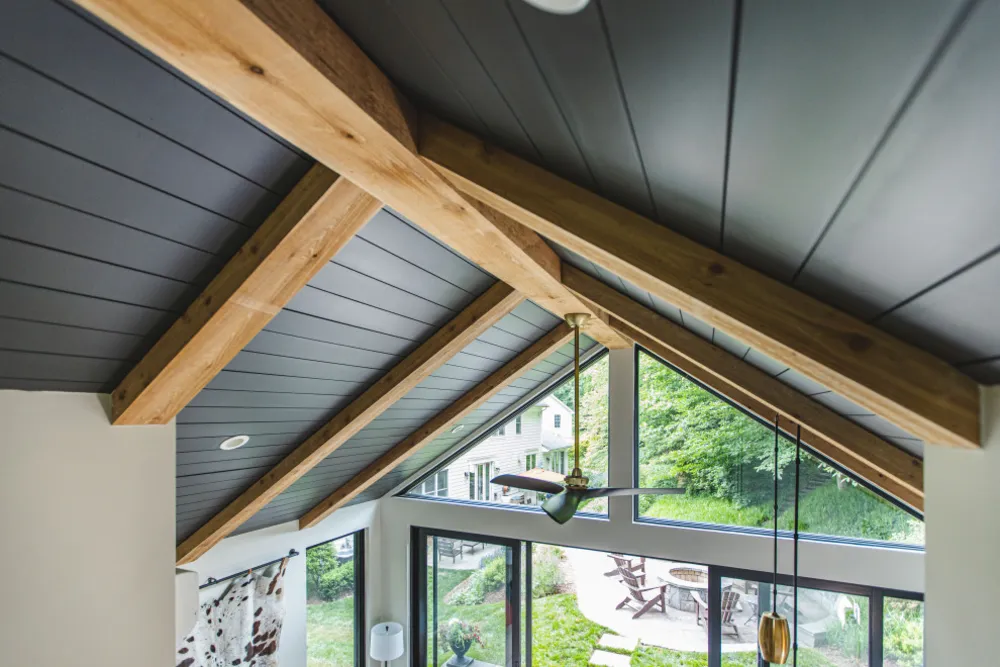 Arlington, VA Moderni ADU