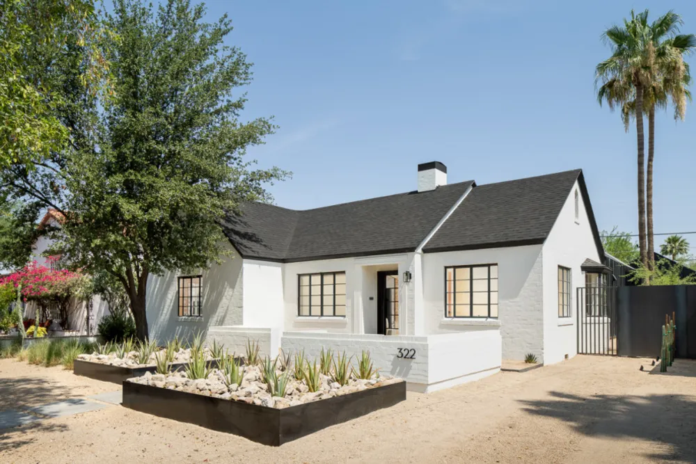 КИПАРИС | Экстерьер