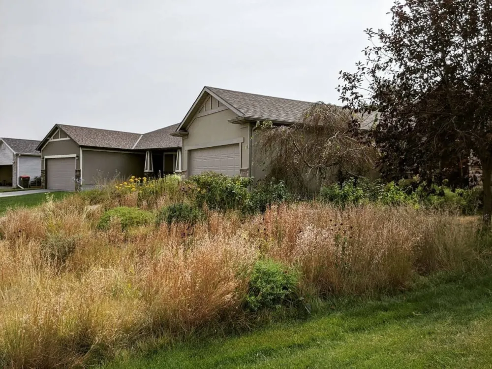 Et efterår der bringer haven til live