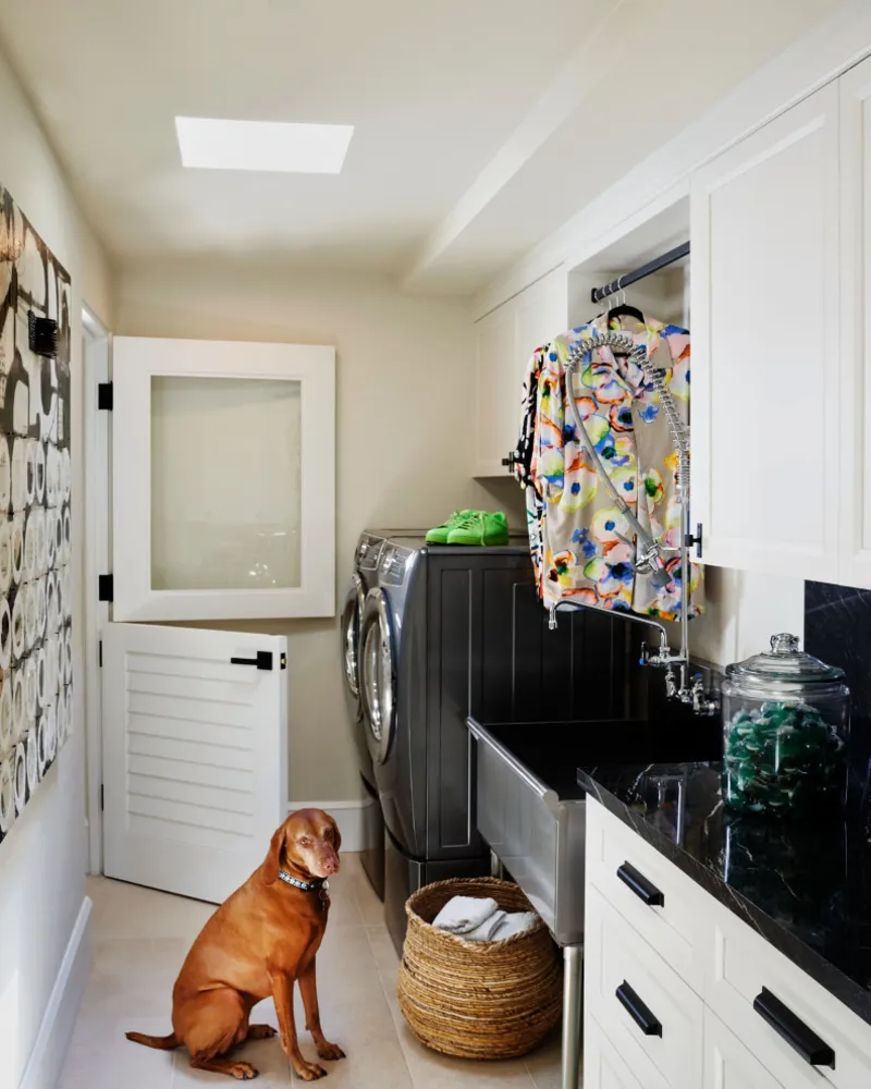 Modern Tropical - Scottsdale