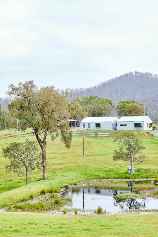 Architekci pomagają X oddychać architekturą: