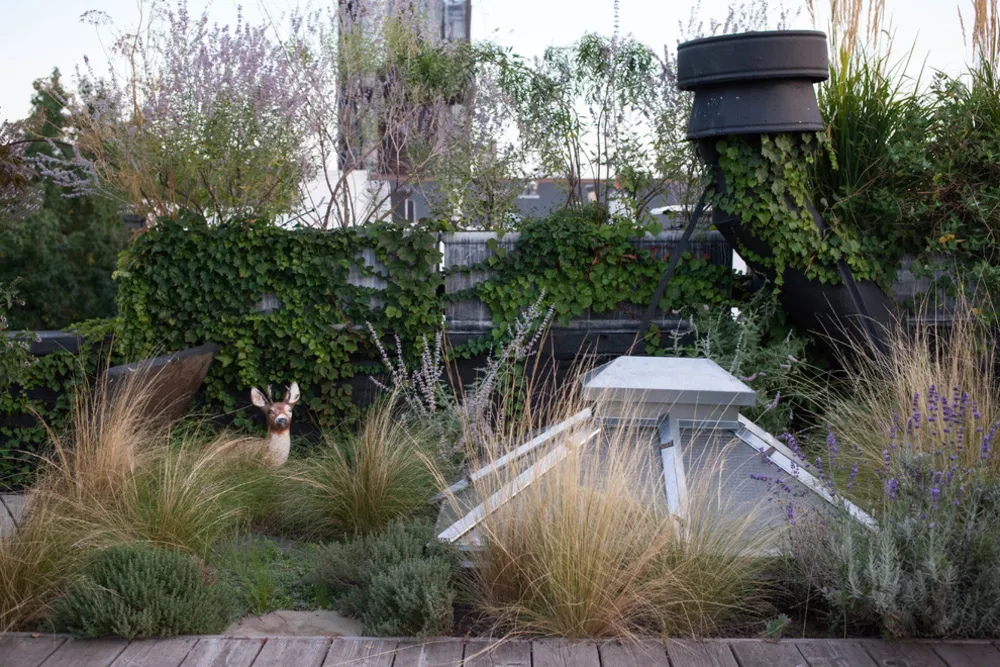FORT GREENE ROOF GARDEN