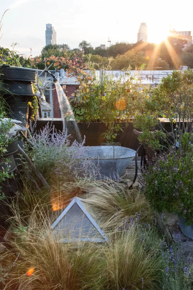 FORT GREENE ROOF GARDEN