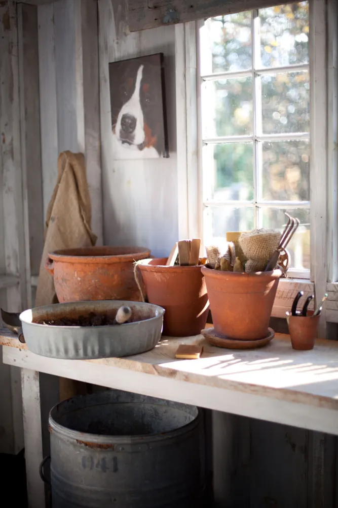 Utangaç Tavşan Çiftliği