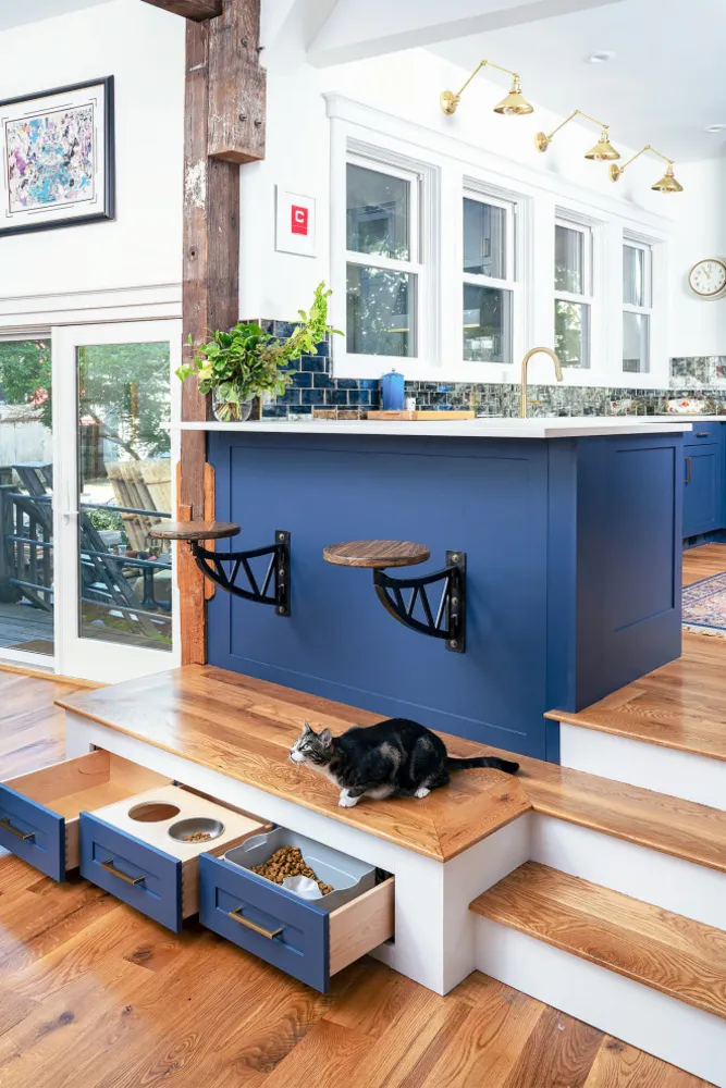 Cambridge Townhouse Renovation