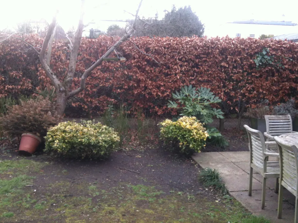 Putney Heath Garden