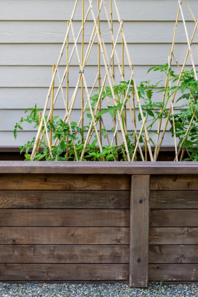 Cucina coperta da cortile