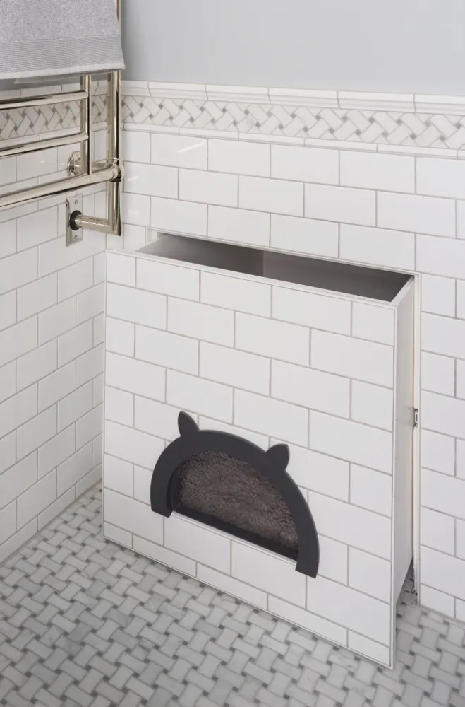 El maullido del gato