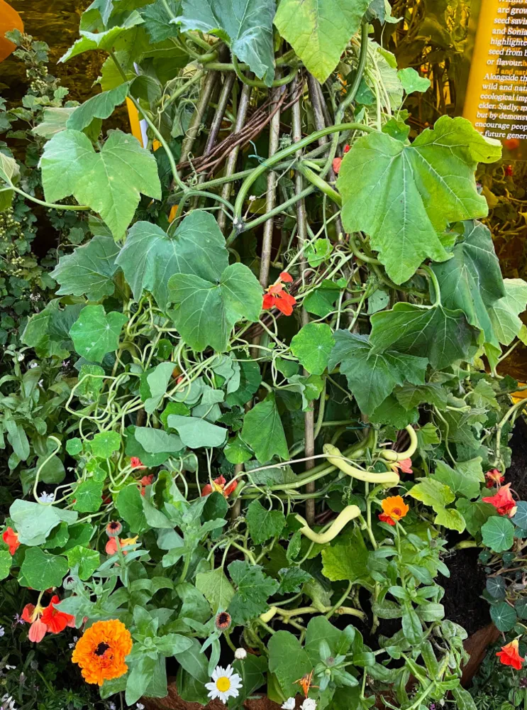 OmVed Gardens utställning