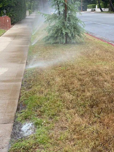 Bahçenizi Daha Az Suyla Sağlıklı Tutmanın ve Güzel Görünmenin 8 Yolu