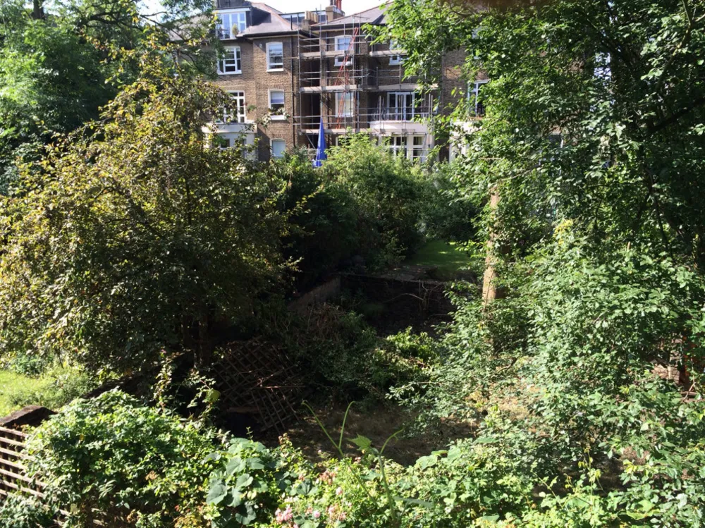 Garden Tour: A Small, Leafy Space subtilly Zoned for Activities