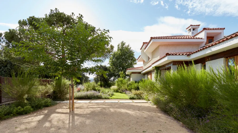 JARDÍN LIBRE EN LAS ROZAS