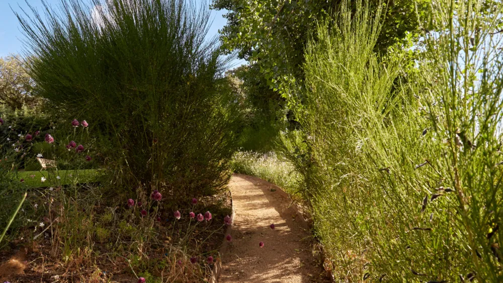 JARDÍN LIBRE EN LAS ROZAS