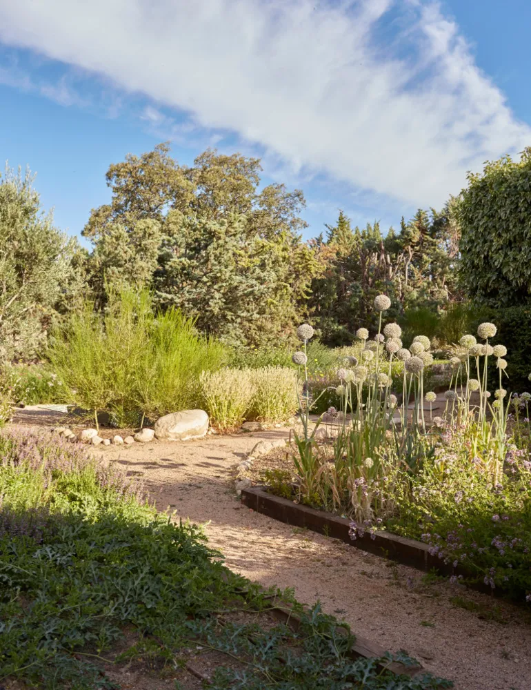 JARDÍN LIBRE EN LAS ROZAS