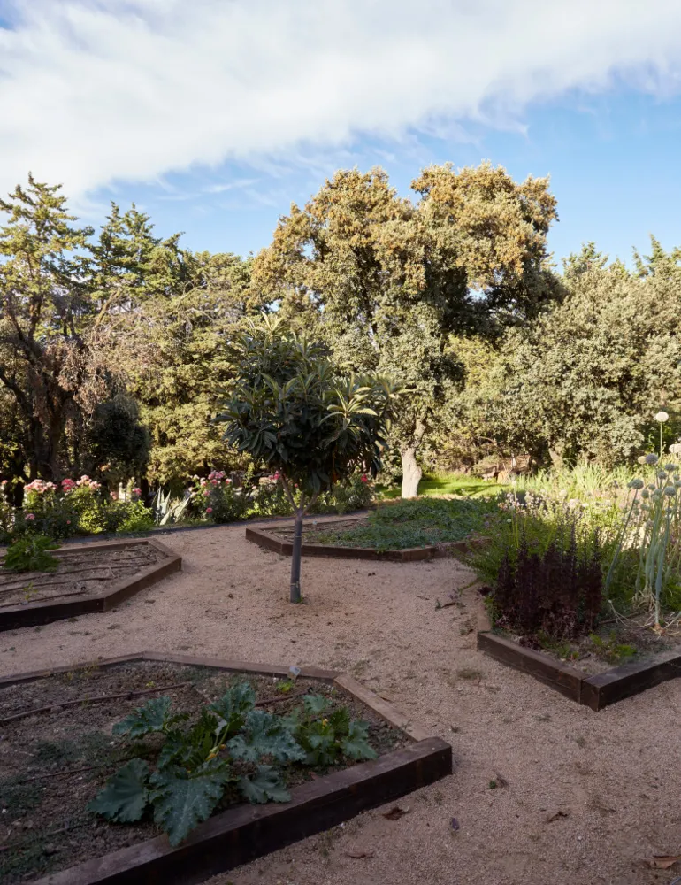 JARDÍN LIBRE EN LAS ROZAS