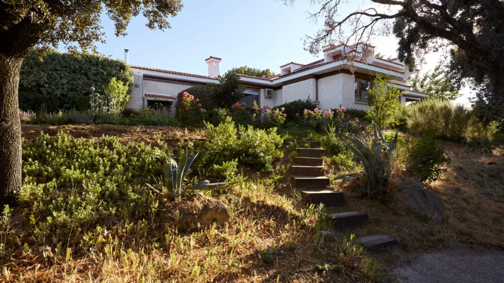JARDÍN LIBRE EN LAS ROZAS