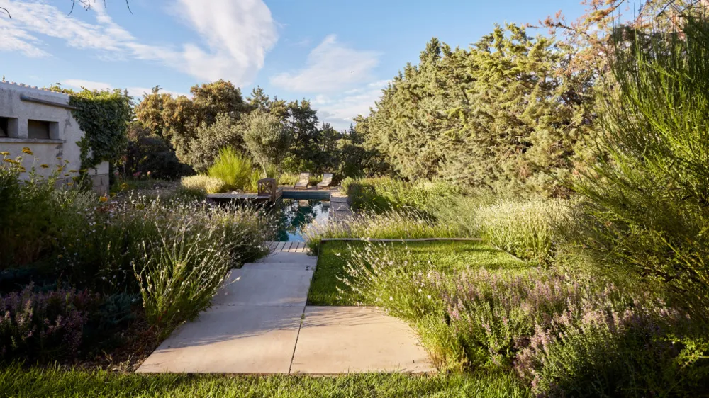JARDÍN LIBRE EN LAS ROZAS