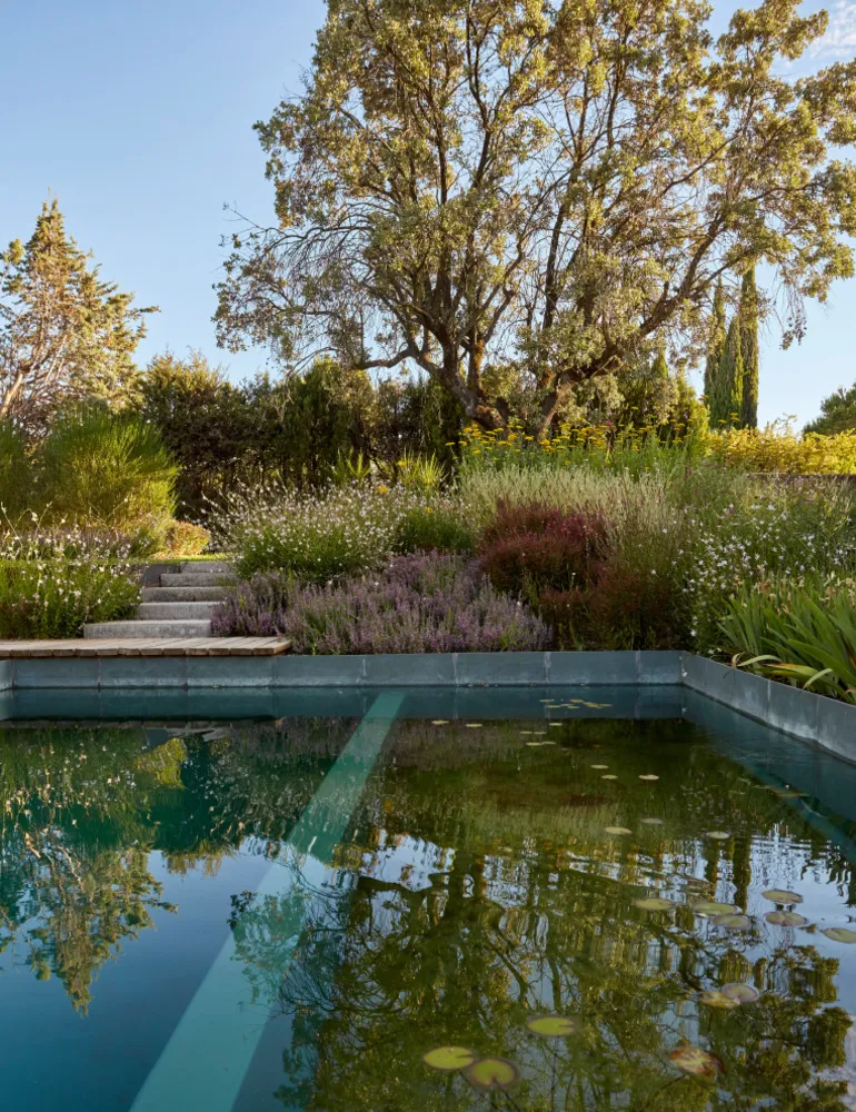 JARDÍN LIBRE EN LAS ROZAS