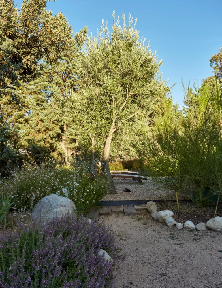 JARDÍN LIBRE EN LAS ROZAS
