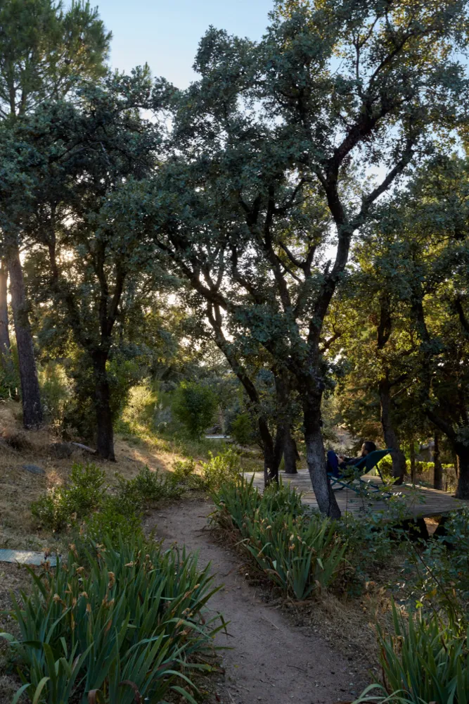 JARDÍN LIBRE EN LAS ROZAS