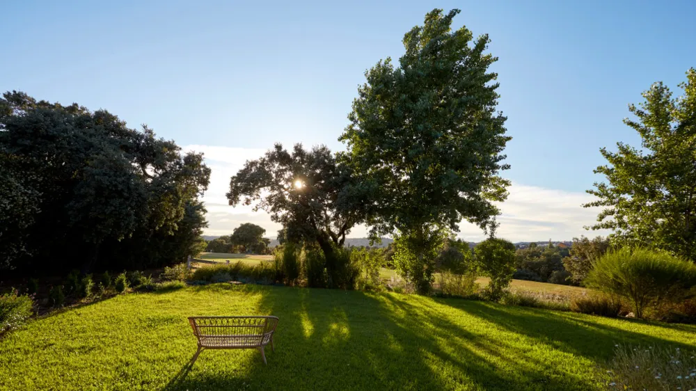 JARDÍN LIBRE EN LAS ROZAS